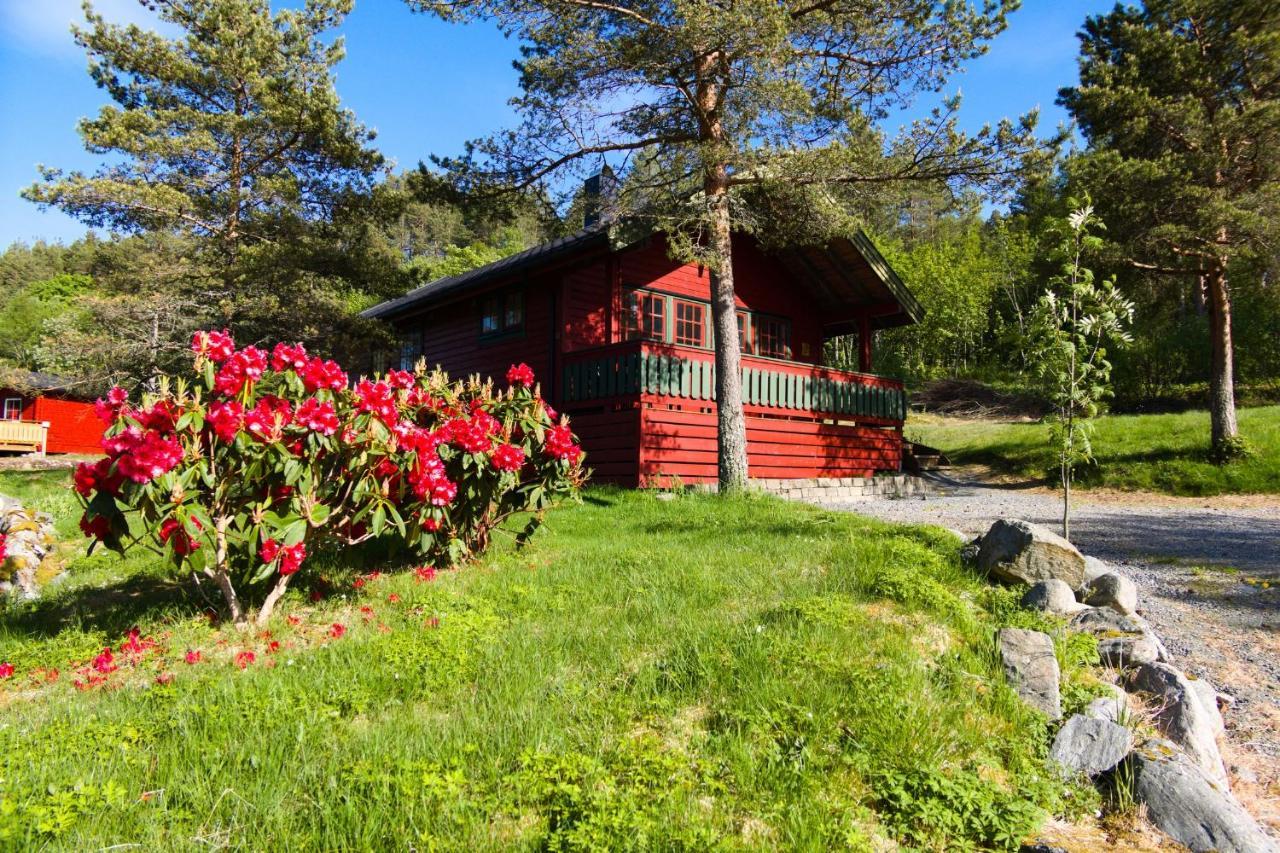 Sjoholt Camping Villa Kültér fotó